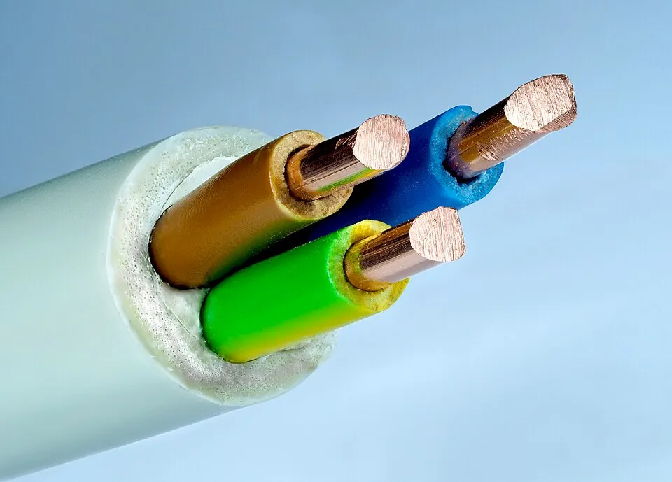 Kabel met zichtbare aders en isolatie